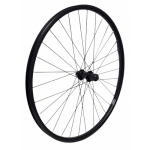 KGS ACHTERWIEL 28 INCH (622) VELG + SPAAK ZW CASS CENTERLOCK 8-10 V